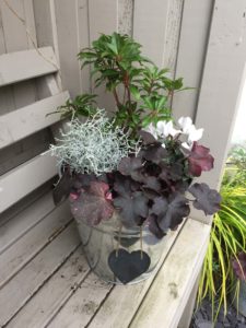Pot Sense - Snow White