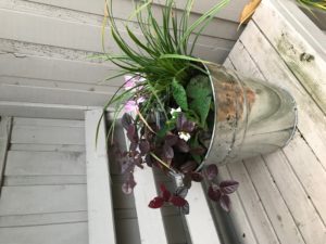 Pot Sense - Radiance