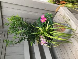 Pot Sense - Winter Scent