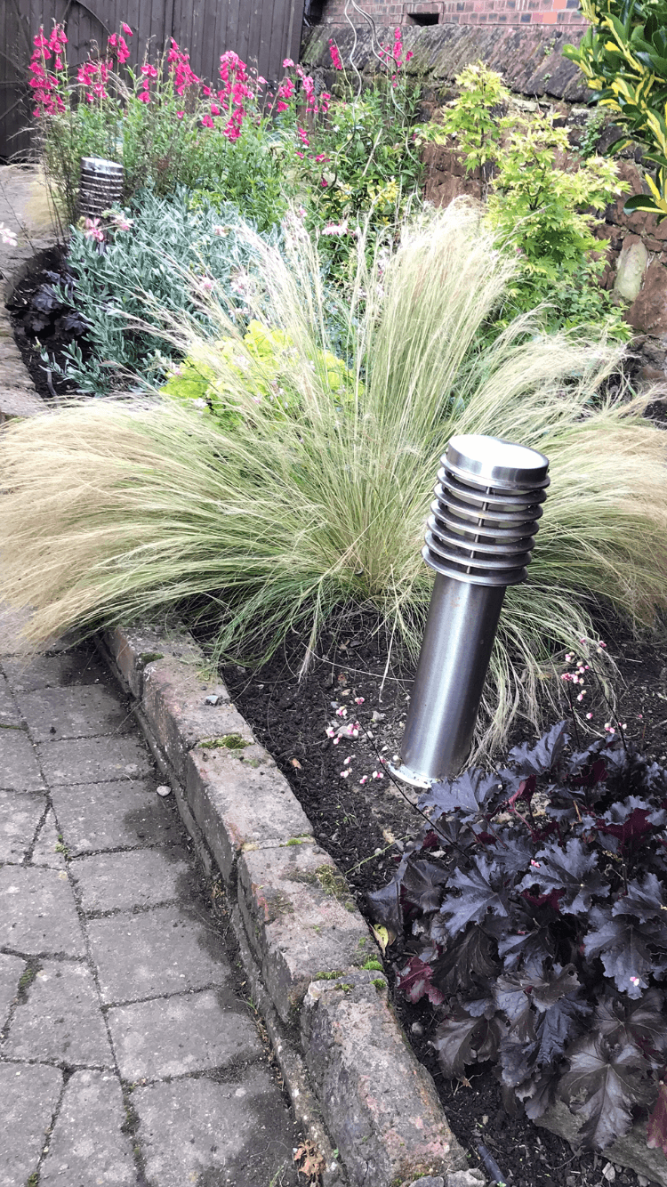 Stipa Pony Tails